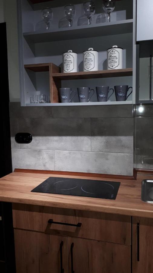 Loft Апартаменти З Балконом В Центрі Львова Luaran gambar